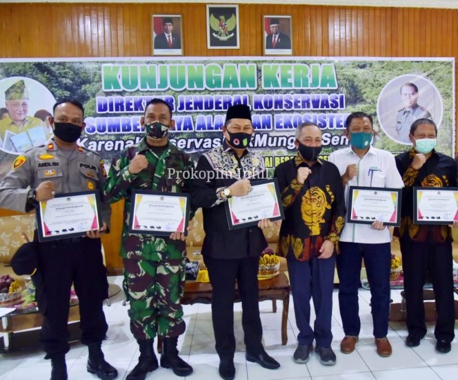 
					Pemkab Inhil Terima Penghargaan, Berhasil Tangani Konflik Harimau dan Manusia 