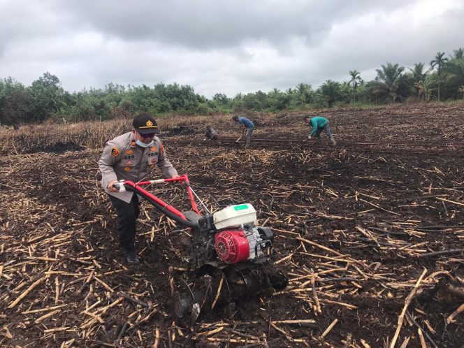 
					Dalam Rangka Jaga Stabilitas Ketahanan Pangan, Polsek Tembilahan Launching Kampung Tangguh Nusantara