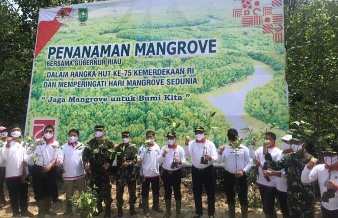 
					Penenaman Mangrove di Dumai bersama Gubernur Riau H. Syamsuar