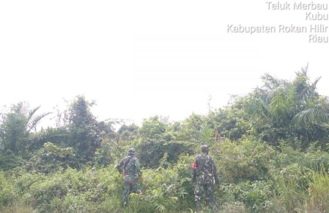 
					Kodim 0321 Melalui Babinsa Koramil 04/Kubu Lakukan Patroli Karhutla