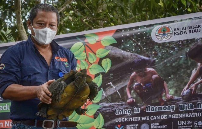 
					Sempena Hari Lingkungan Hidup Sedunia, BBKSDA Riau Lepasliarkan Puluhan Satwa ke Alam Bebas