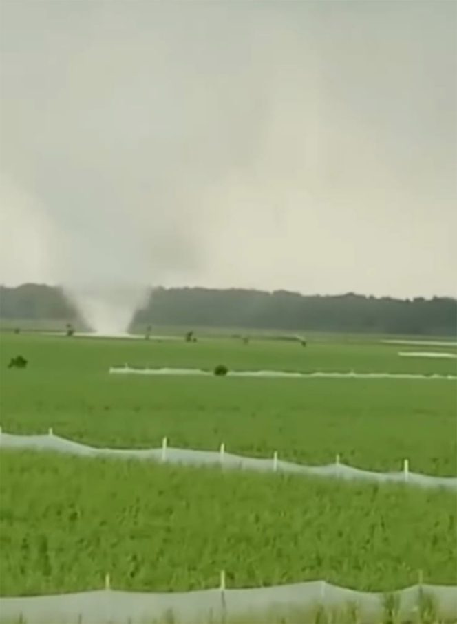 
					Video Viral Angin Puting Beliung Hantam Wonosari Madiun