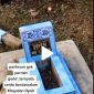 Kisah Nyata Upin Ipin, Video Makam Upin Ipin Beredar di Medsos