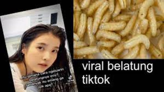 
					Video Belatung Viral ke Luar Negeri, akun Twitter Ini Diserbu
