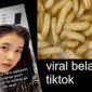 Link Video Belatung Viral, Jangan Ditonton dan Dicari Lagi! Menjijikan