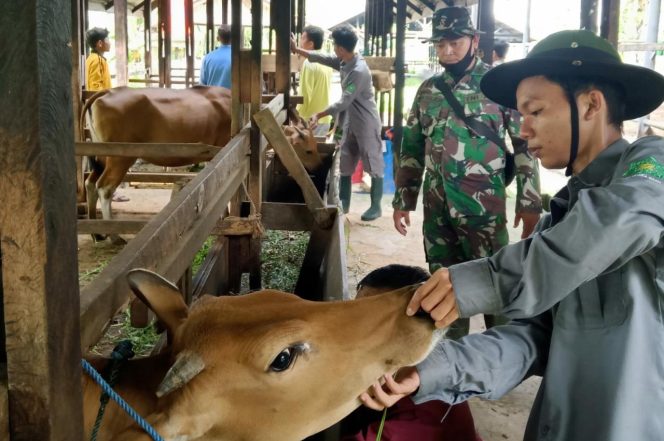 
					Cegah PMK Meluas, Babinsa Koramil 01 Dumai Dampingi Petugas Kesehatan
