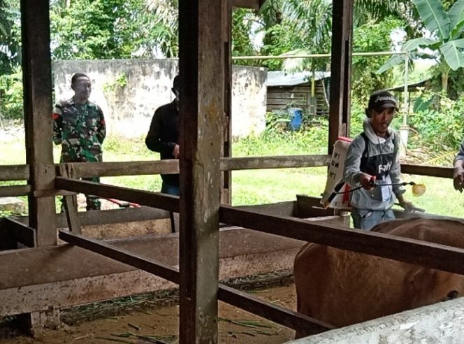 
					Kodim 0320 Dumai Dampingi Penyemprotan Disinfektan Hewan Ternak