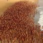 Aksi Telanjang Warga Australia di Pantai Hebohkan Medsos