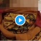 Viral Kebaya Merah Trending Topic di Twitter.