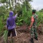 Cegah Karhutla di Wilayah Tugas, Babinsa Koramil 01 Dumai Terus Lakukan Patroli