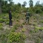 Babinsa Kelurahan Laksamana Giat Patroli dan Sosialisasi Karlahut