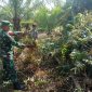Babinsa Pangkalan Sesai Patroli di Wilayah Rawan Karhutla