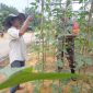Serda Jumat Giat Pendampingan Karya Nyata Ketahanan Pangan