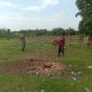 Rutinitas Koramil PWK 04/MK Pantau Kesehatan Hewan Ternak di Wilayah Tugas