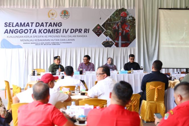 
					Hadiri Kuker Komisi IV DPR RI, Husni paparkan upaya pencegahan Karhutla di Siak.