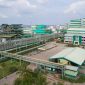 Dongkrak Nilai Tambah Komoditas Minyak Sawit, Apical Kembangkan Bisnis Hilirisasi