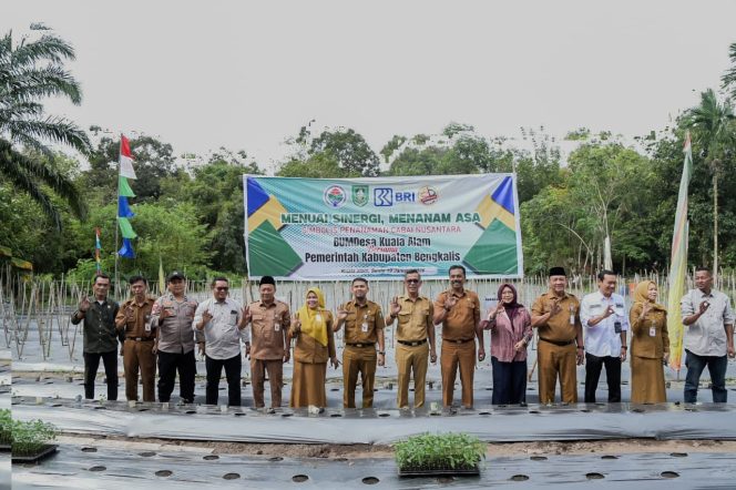 
					Dukung Swasembada Pangan, Bupati Bengkalis Tanam Cabai Nusantara