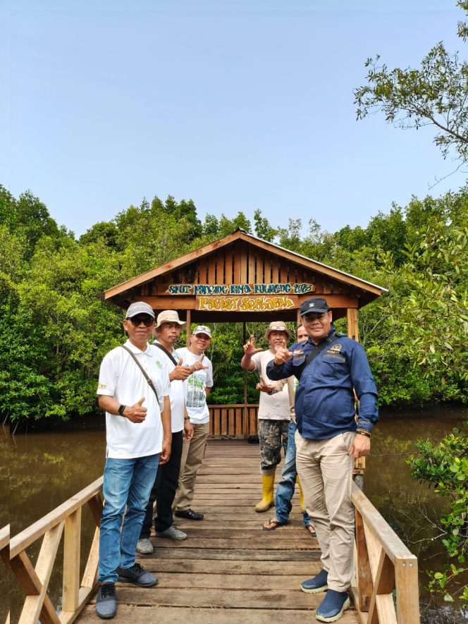 
					Anggota DPD RI H. Abdul Hamid Kunjungi Kawasan Mangrove Paghet Seghaghah Desa Kelapa Pati