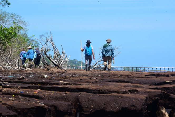 
					Kawasan Restorasi Mangrove Teluk Pambang Dikunjungi Tim ASEAN-UK GTF