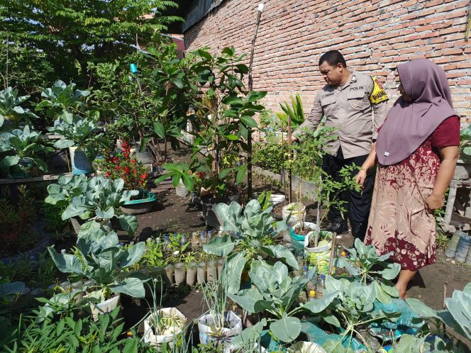 
					Gerakan Penguatan Ketahanan Pangan Gencar Dilakukan di Kota Dumai