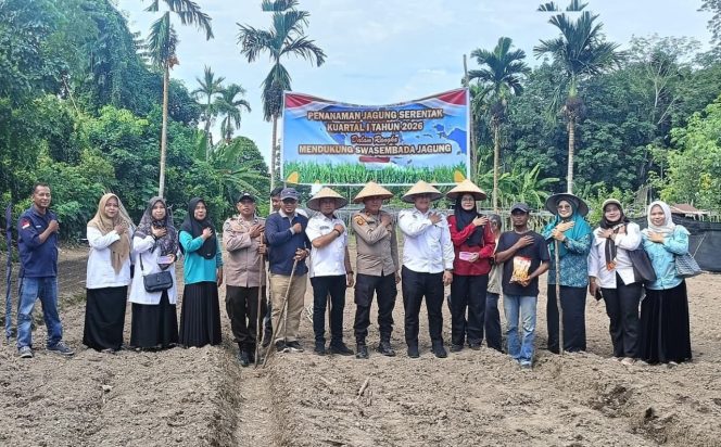 
					Polres Bengkalis Dukung Ketahanan Pangan Melalui Penanaman Jagung Pipil di Desa Kuala Alam